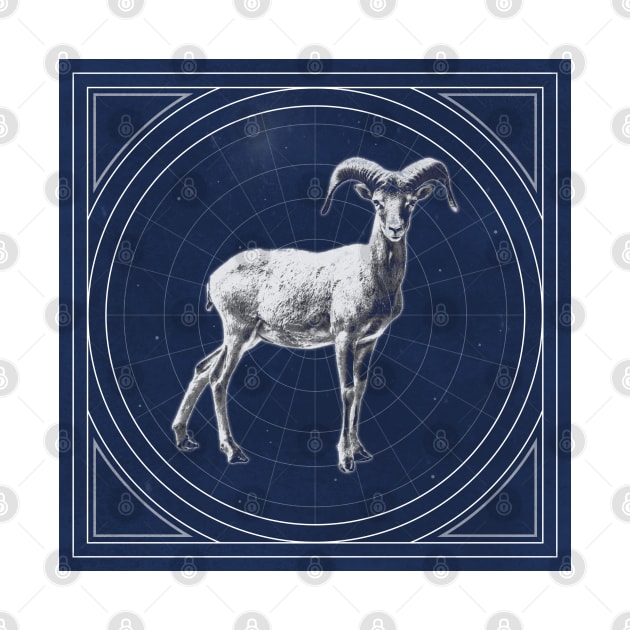 Capricorn star map by RAADesigns