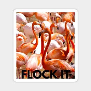 Flamingos Flock It Magnet