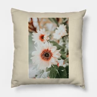 Pastel sunflowers Pillow