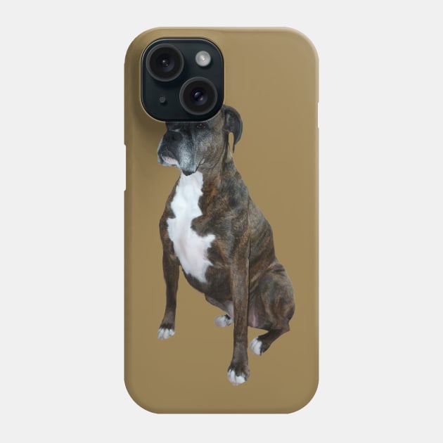 A Handsome Brindle Boxer - Just the Dog Phone Case by Dogs Galore and More