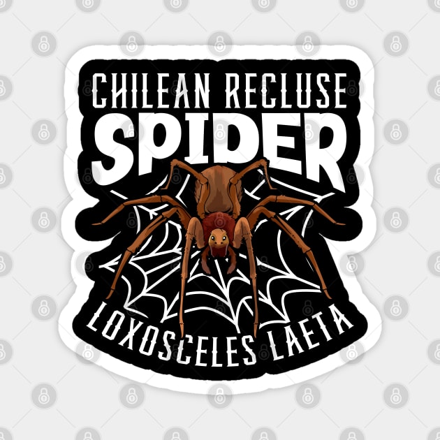 Chilean Recluse Spider Magnet by Modern Medieval Design