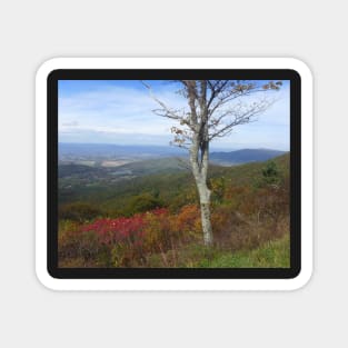 Fall in Shenandoah Magnet