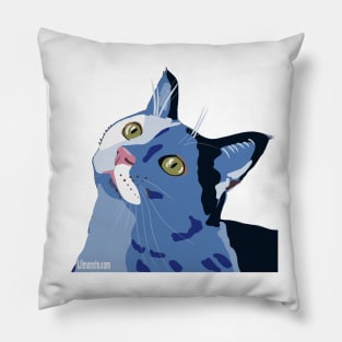 Stylized Colorful Cat Pillow