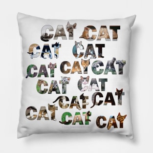 CATS CATS CATS - mixed cat breed oil painting word art Pillow