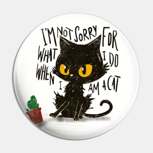 Not sorry Pin