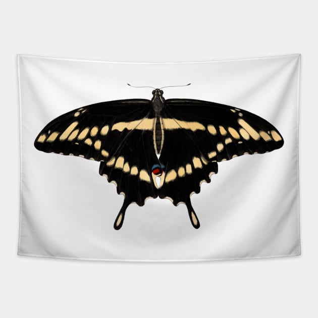 Eastern Giant Swallowtail Tapestry by JadaFitch