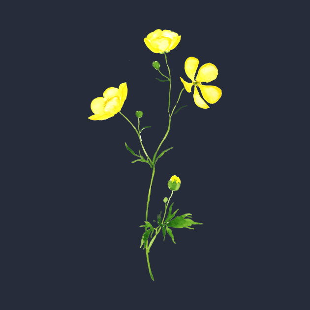 yellow buttercup flower watercolor by colorandcolor