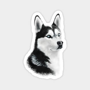 Siberian Husky Magnet