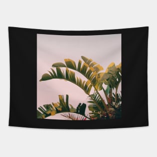 Pink Breeze Tapestry