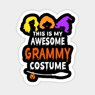 this is my awesome grammy costume Magnet