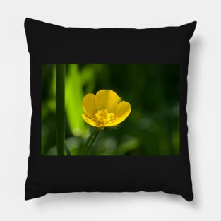 Buttercup Pillow