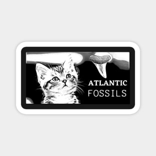 Kitten and Atlantic Fossils Shark Tooth Magnet