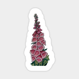 Foxglove Magnet