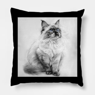 Silent Eloquence: The Regal Ragdoll Pillow