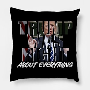 Trump Was Right Pillow
