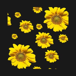 Sunflowers Beauty T-Shirt