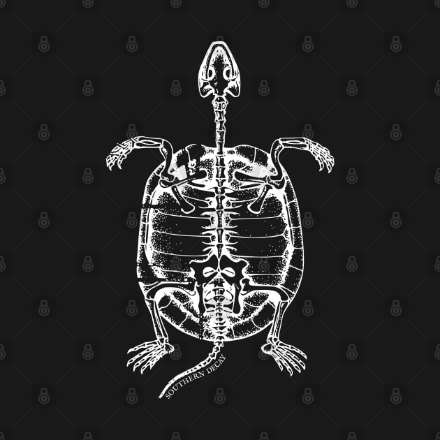 Southern Decay Turtle Skeleton by Talesbybob