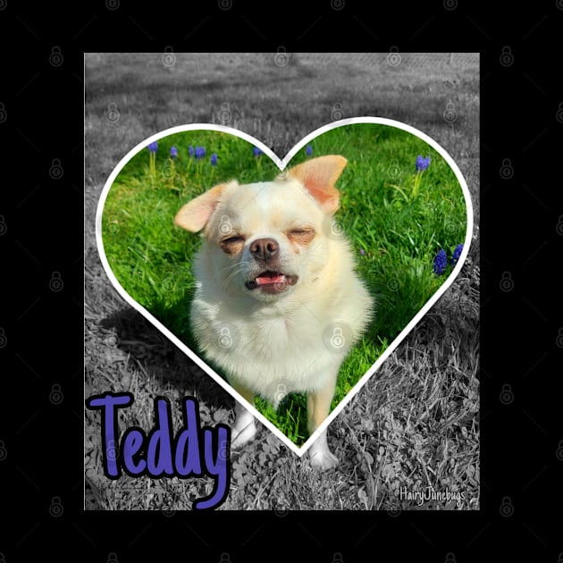 Teddy by Junebugs