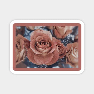 Roses No. 1-25 Magnet