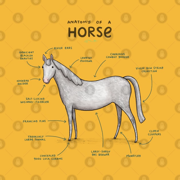 Anatomy of a Horse by Sophie Corrigan