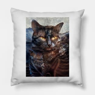 Armored knight cat: Sire Pillow