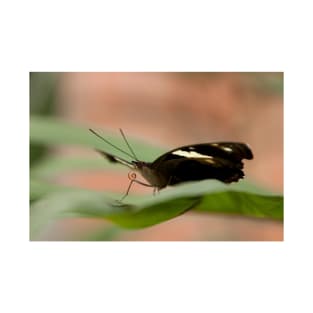 Cute Butterfly In Nature T-Shirt