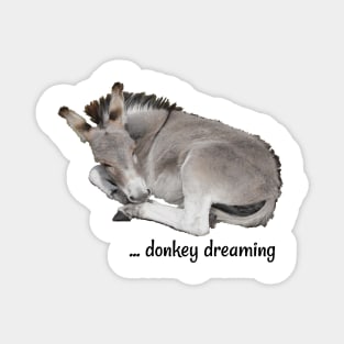 Grey Donkey Dreaming Magnet
