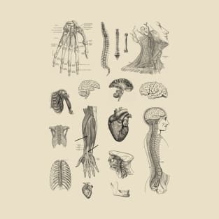 Vintage Anatomy Illustration T-Shirt