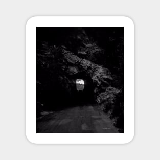 Mammoth Cave - Black and White Magnet