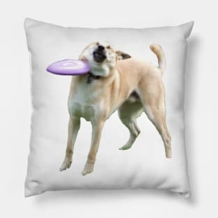 Frisbee Doge Pillow