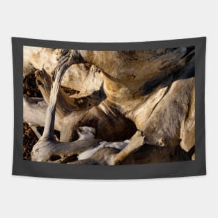 Driftwood Tapestry