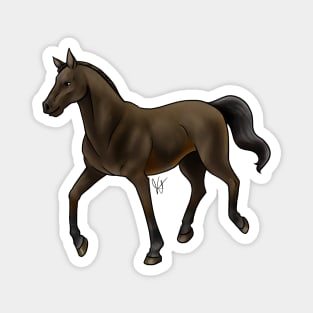 Horse - Thoroughbred - Black Magnet