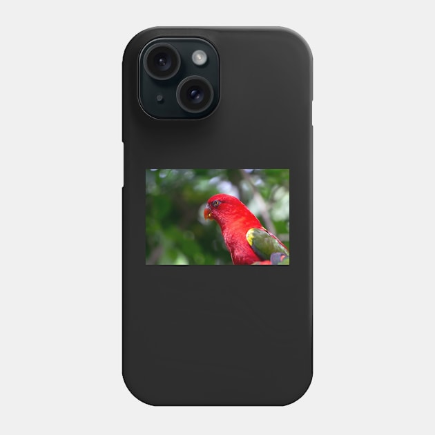 Red Macaw Phone Case by likbatonboot