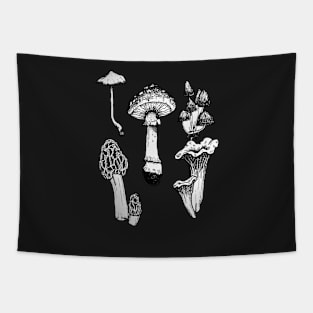 Mushroom Illustration Pack Tapestry