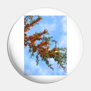 Rowan Tree Branch Pin