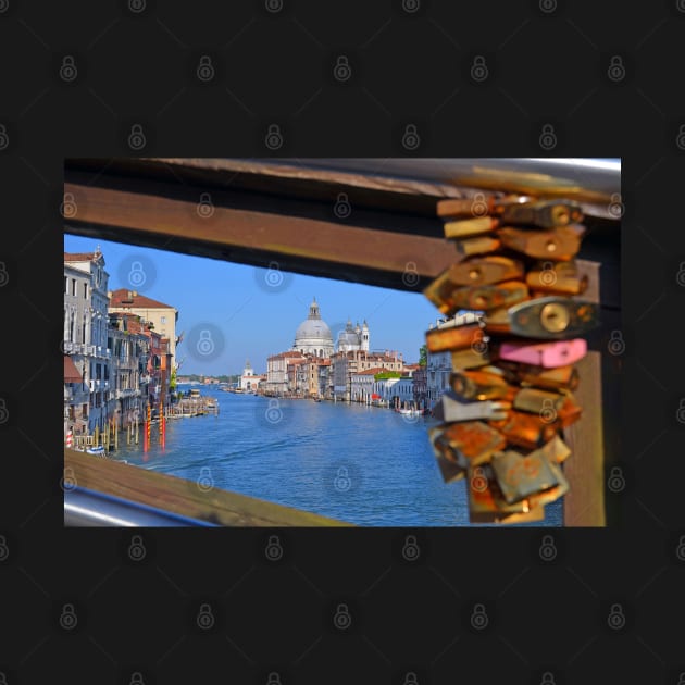 Love locks on Ponte dell'Accademia bridge, Venice, Italy by Peter the T-Shirt Dude