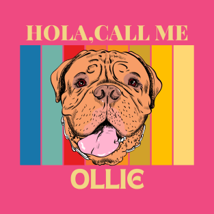 Hola, Call me Ollie dog name t-shirt T-Shirt