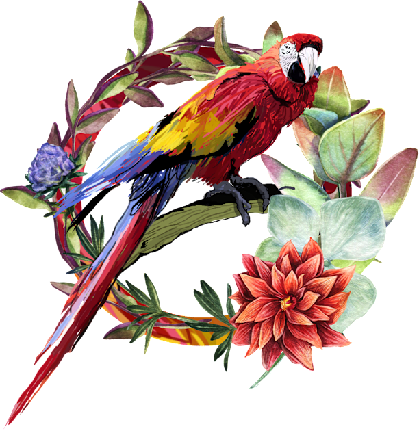 Macaw from Colombia Kids T-Shirt by naj