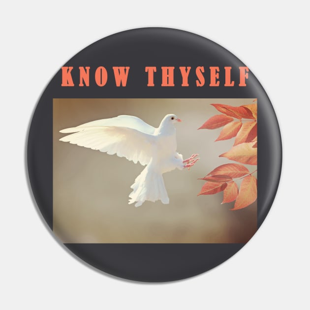 KNOW THYSELF Pin by bestdeal4u