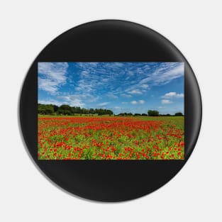 County Durham Poppies Pin