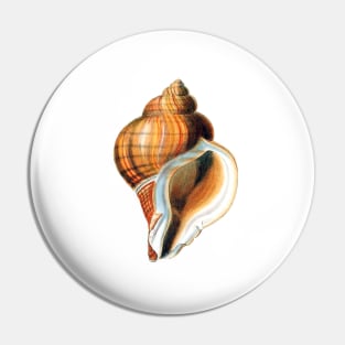 Snail house designer Pin