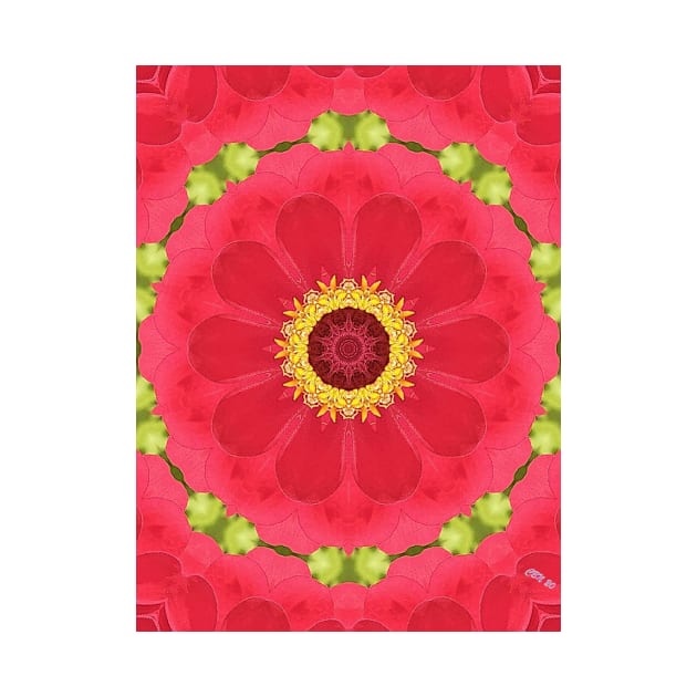 Kaleidoscopic Zinnia by RainbowStudios