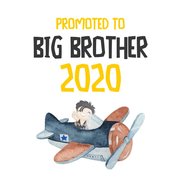 Promoted to Big Brother 2020 loves flying Airplane by alpmedia