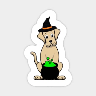 Funny Big Dog is wearing a witch costume Magnet