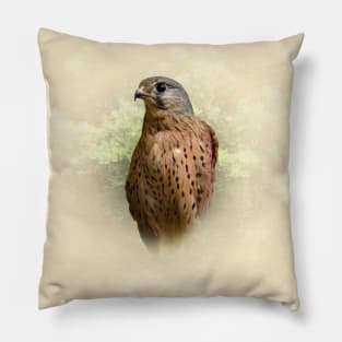 Kestrel Pillow