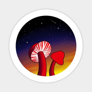 Mushroom in Sunset Magnet