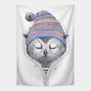 Owl in a hood Tapestry