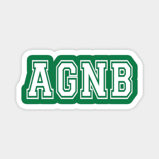 AGNB All Gas No Brakes Magnet