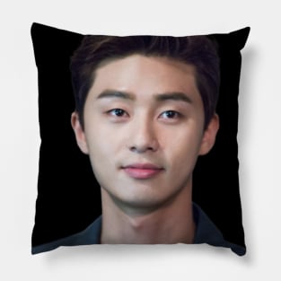 Park Seo Joon - V6 Pillow