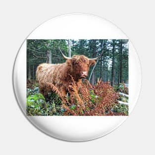 Scottish Highland Cattle Cow 2134 Pin